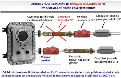Figura 12