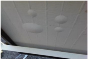 Figura 3: Bolhas na parte traseira do módulo fotovoltaico (Wohlgemuth, 2016)