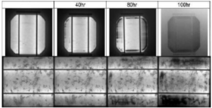 Figura 11: Eletroluminescência de célula sujeita a 1000V (Pingel, 2010)