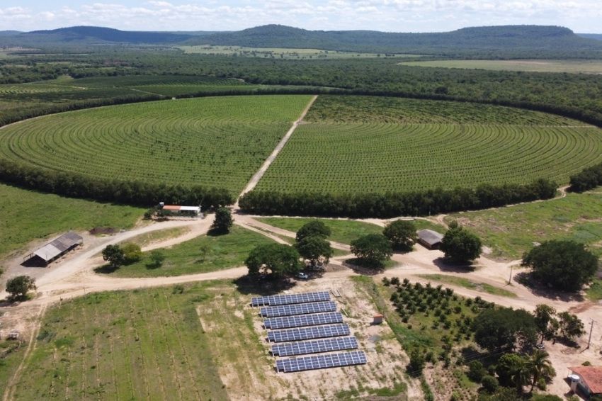 Expansão do agronegócio atrai investimentos do setor solar