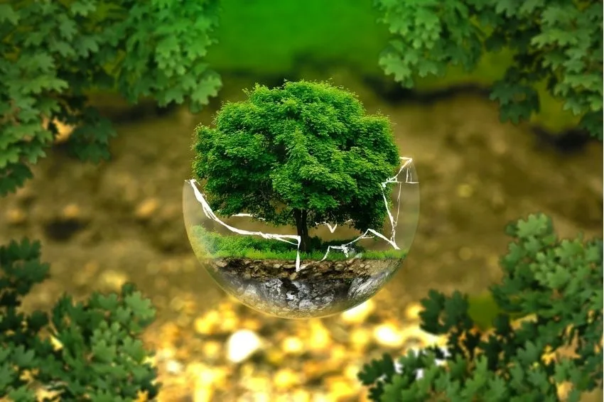 ESG o que é e por que passou a ser importante para as empresas