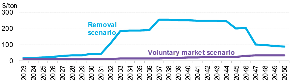 Preços de compensação de carbono nos cenários "voluntary market" e "removal". Fonte: BloombergNEF