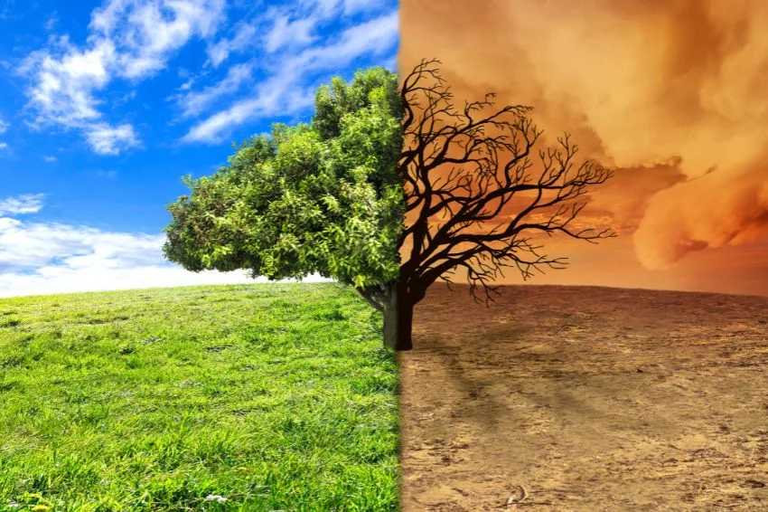 Mudanças climáticas afetarão geração solar em duas regiões do Brasil