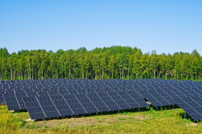 Develop SP credit lines for clean technologies will be reduced