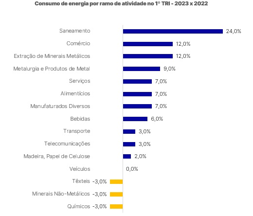 Ramos-de-atividades.jpg
