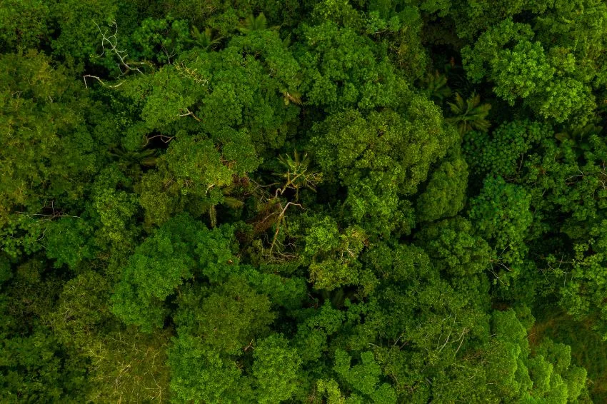 CRA-SP debaterá descarbonização da geração de energia