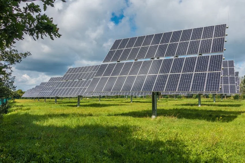 Painéis solares triplicam a população de abelhas