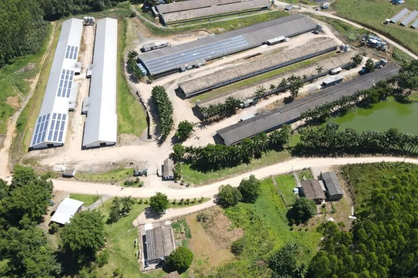 Sete em cada dez granjas da Seara já utilizam energia solar