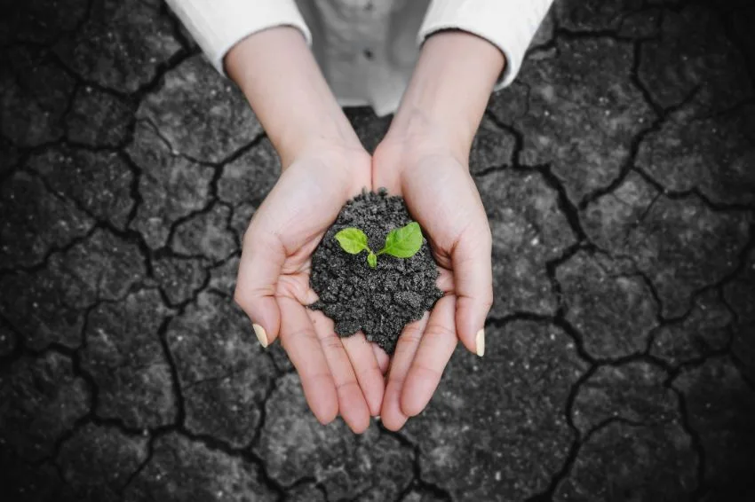 Bloomberg lança solução de gestão de risco climático