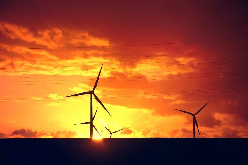 Governo cria grupo de trabalho para minimizar curtailment em usinas solares e eólicas