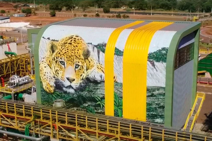 Linha de picagem substitui combustível fóssil por energia renovável na produção de biomassa