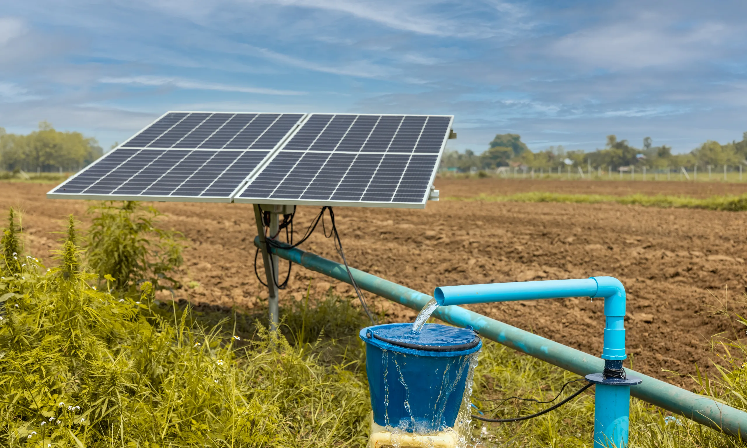 Energia solar no combate à seca: solução sustentável avança em áreas rurais do Piauí