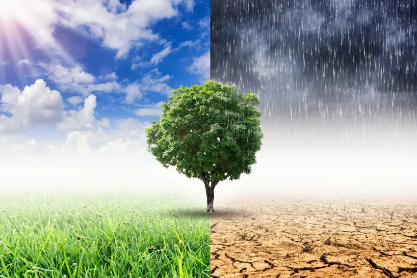 CANAL SOLAR - Dia Mundial do Meio Ambiente como cada capital brasileira sente as mudanças climáticas