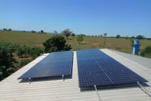 Canal Solar - Sunova Solar lança módulos com estrutura de compósito a nível global