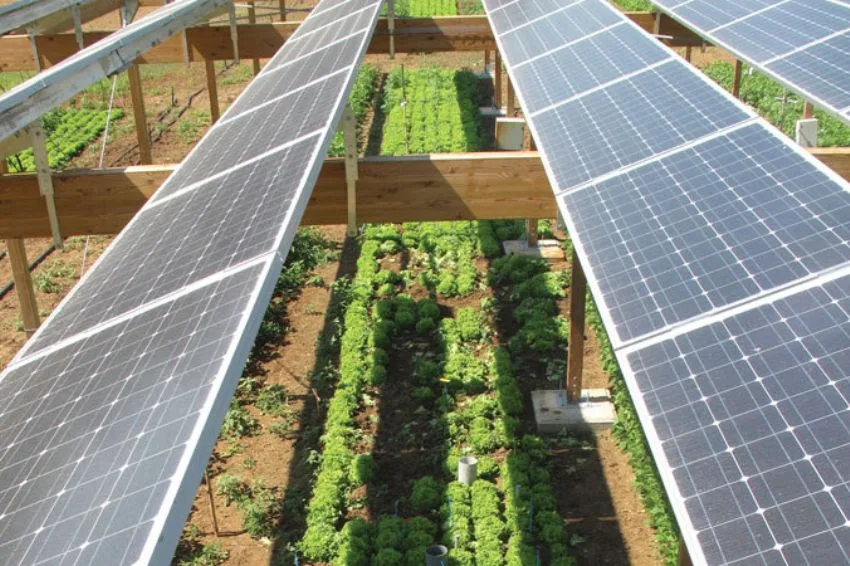 Canal Solar - Plano Safra reduz recursos para transição energética com solar e armazenamento, alerta ABSOLAR