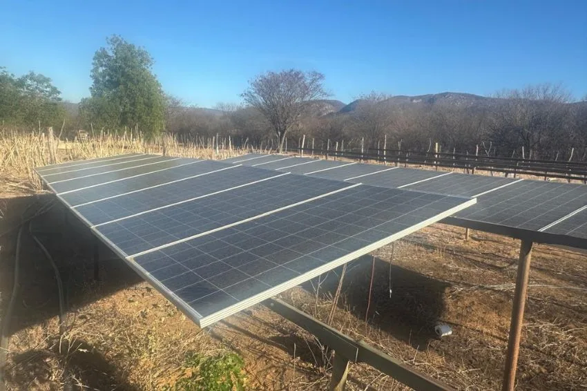 Plantação de maconha abastecida por sistema solar é destruída pela polícia na Bahia