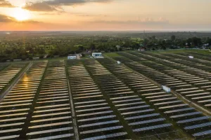Guia técnico reúne boas práticas para garantir segurança e eficiência em usinas solares de grande porte