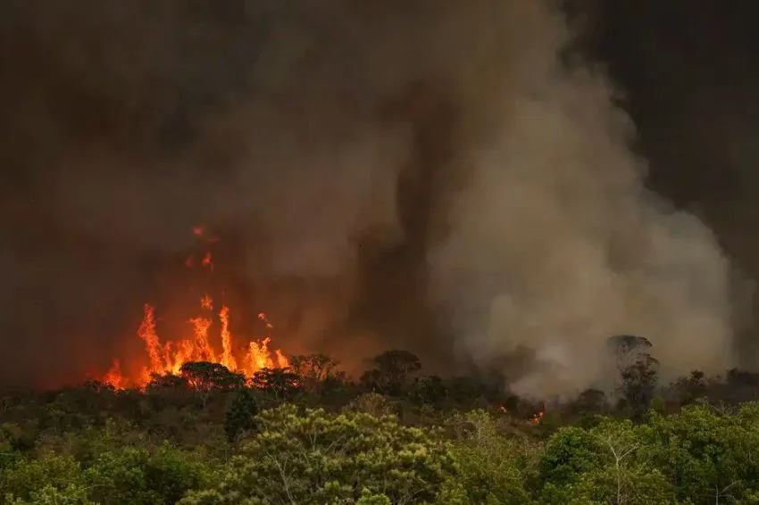 Canal Solar - Queimadas disparam em setembro e ameaçam linhas de transmissão e usinas, alerta Climatempo