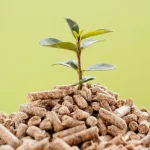 Cogen pedirá ao governo térmicas a biomassa no LRCAP