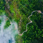 Canal Solar - Brasil pode deter 15% dos créditos de carbono gerados anualmente em 2030