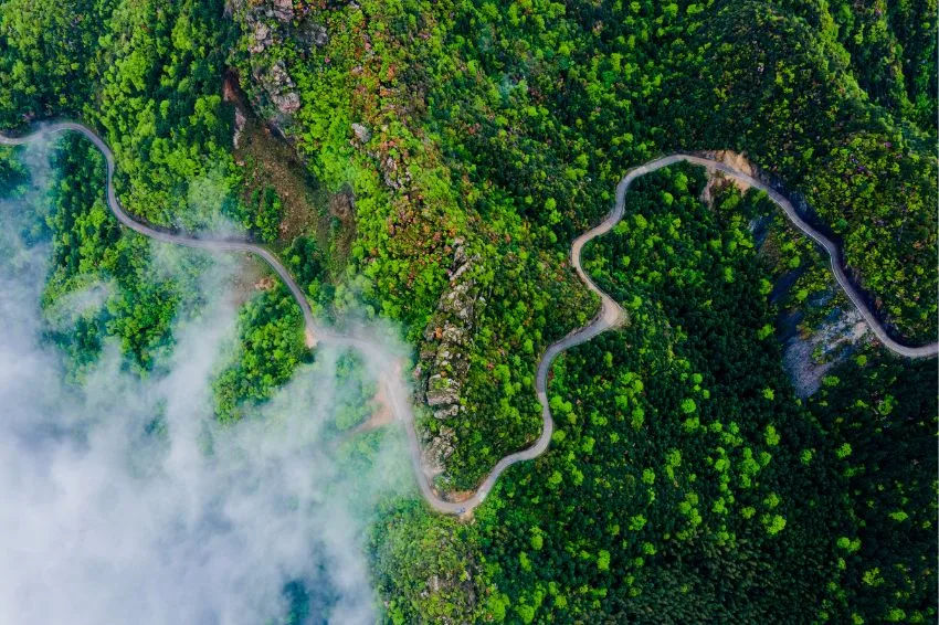 Canal Solar - Brasil pode deter 15% dos créditos de carbono gerados anualmente em 2030