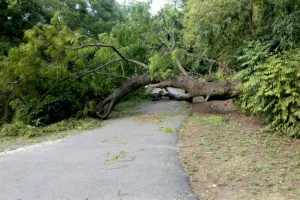 Energia em risco: vendavais, apagões e o chamado urgente pela transição energética