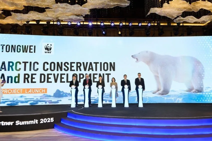 Tongwei e WWF firmam parceria para proteger o Ártico e impulsionar energia renovável