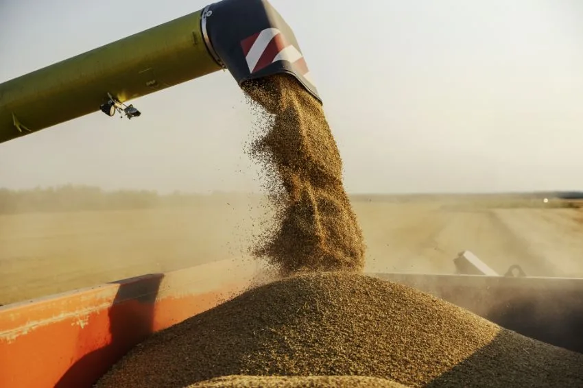 Segmento de cogeração a biomassa acompanha curtailment com cautela