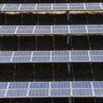 Canal Solar - Solar inicia 2026 com 93% da expansão da matriz elétrica em janeiro