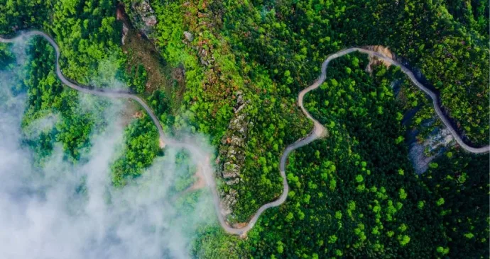 Canal Solar - Brasil pode deter 15% dos créditos de carbono gerados anualmente em 2030