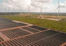 Canal Solar - Corte de geração renovável um panorama do curtailment