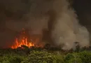 Canal Solar - Queimadas disparam em setembro e ameaçam linhas de transmissão e usinas, alerta Climatempo